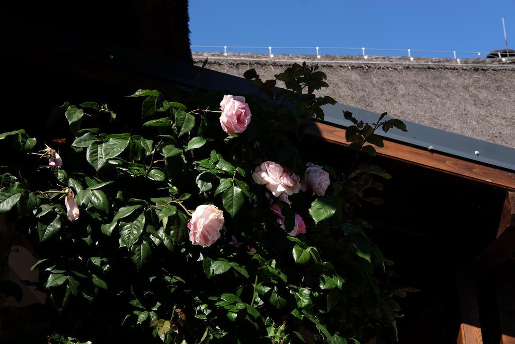 Cselling Udvarhaz Revfulop Bagian luar foto